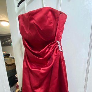 David's Bridal Formal Dress